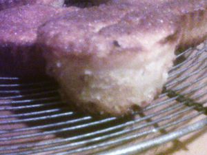 IMG00672-20121016-0652.jpg