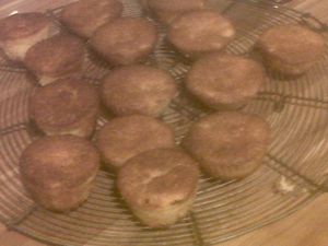 IMG00673-20121016-0652.jpg