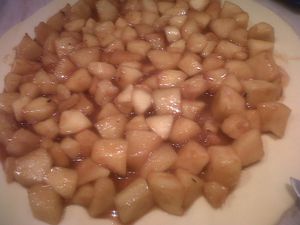 IMG00920-20130106-1042.jpg