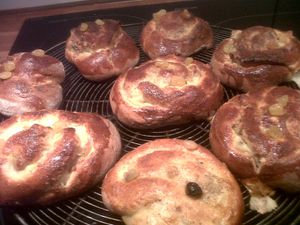 IMG01046-20130226-1734.jpg