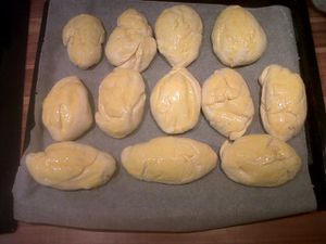 IMG00075-20111217-1828.jpg