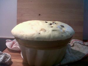 IMG00128-20120107-1206.jpg
