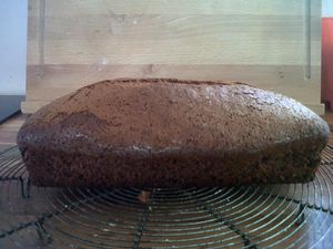 IMG00256-20120222-1200.jpg