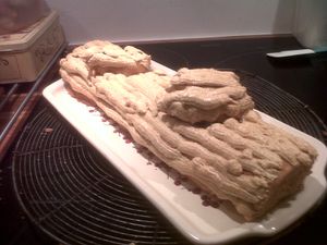 IMG00858-20121227-2056.jpg