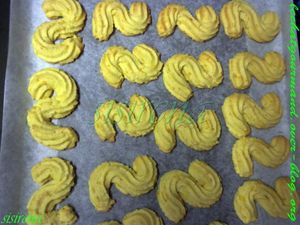 biscuits orangitron 5 (Medium)