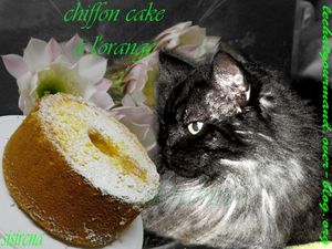 chiffon cake à l'orange (Medium)