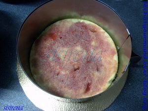 fraisier de michalak9 (Medium)