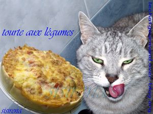 tourte aux légumes (Medium)