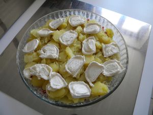 007-copie-9.JPG