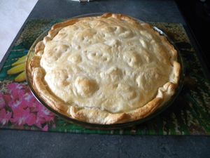 009-copie-5.JPG