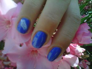 IMG02379-20120722-1159.jpg