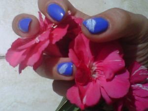 IMG02388-20120722-1206.jpg