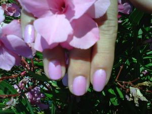 IMG02482-20120726-1711