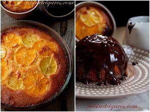 Gâteau Clémentines Amandes Coco Duo 1