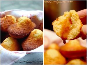 Madeleines d'Alex Duo 20