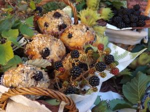 Muffins Mûres Noisettes Jeanne