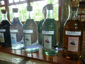P1050400.JPG