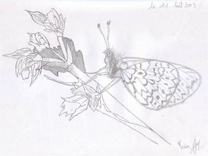 Dessins 11