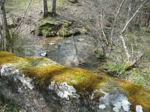 P1120280 640x480