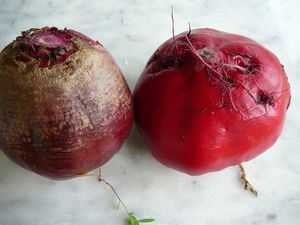 P1100550