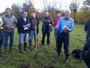 IMG-20141121-00014