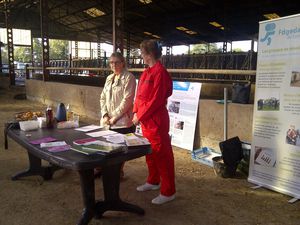 IMG-20141006-00056.jpg