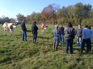 IMG-20141030-00004.jpg