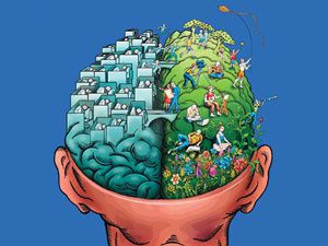 cerveau