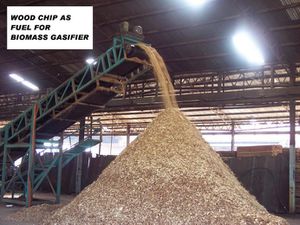 wood-chip-out-of-conveyor-WITH-COMMENT.JPG