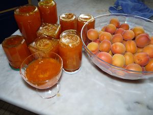 abricots-confiture.JPG