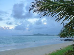 2eme j Isla Isabela Flamans roses (5)