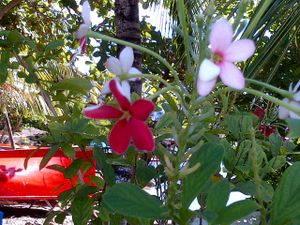 IMG-20121216-00214.jpg