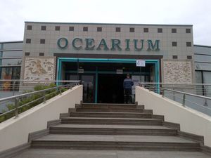 IMG-20130510-01304.jpg