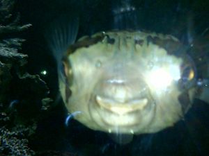 IMG-20130510-01333.jpg