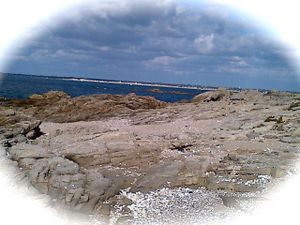 IMG-20121028-00943.jpg