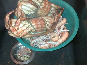 IMG-20120801-00276.jpg