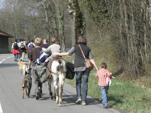 P2-20 Forêt de Chaux