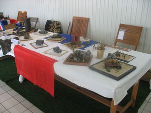 Bourg-Achard-2013 2341