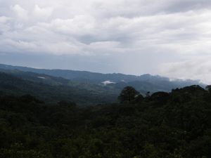 193 Montée du volcan Arenal