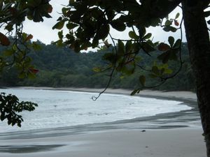 119 Manuel Antonio-Playa Espadilla