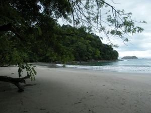 121 Manuel Antonio-Playa Espadilla