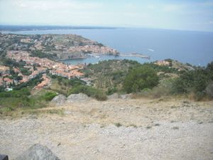 CIMG9755.JPG