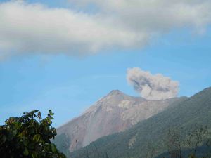 Volcan Acatenango 020