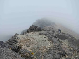Volcan Acatenango 050