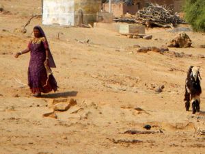 Jaisalmer - Pushkar 011