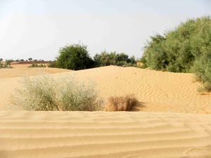 Jaisalmer - Pushkar 015