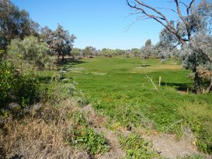 Bourke 005