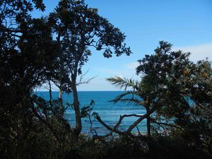 Emerald beach 009