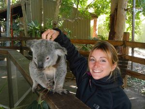 Koala Park 008