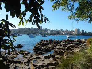 Manly 026